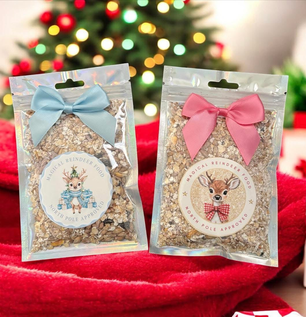 🦌 Magical Reindeer Food Bag – North Pole Approved ✨
